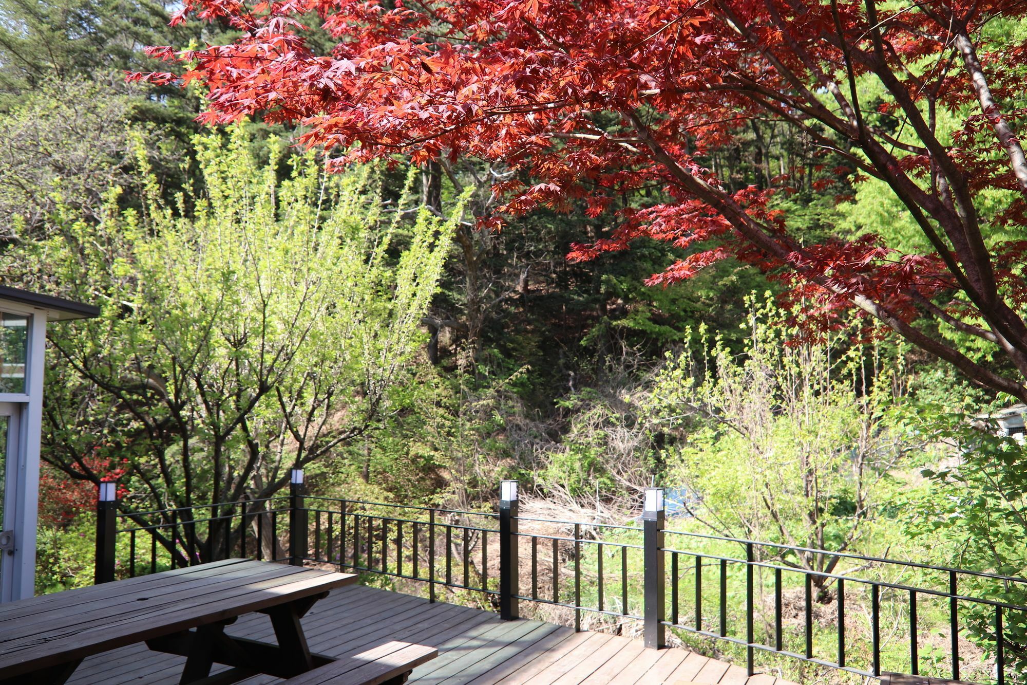 Everlast Guesthouse Yongin Extérieur photo